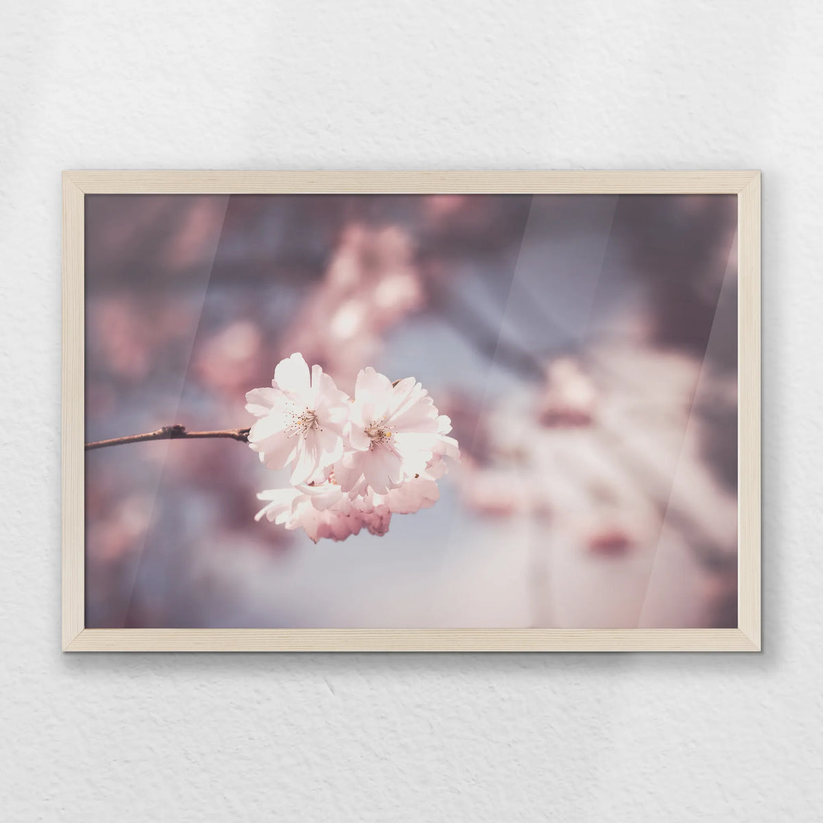 PN-060W040