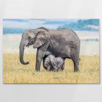 AL-090W060