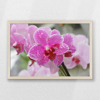 PN-060W040