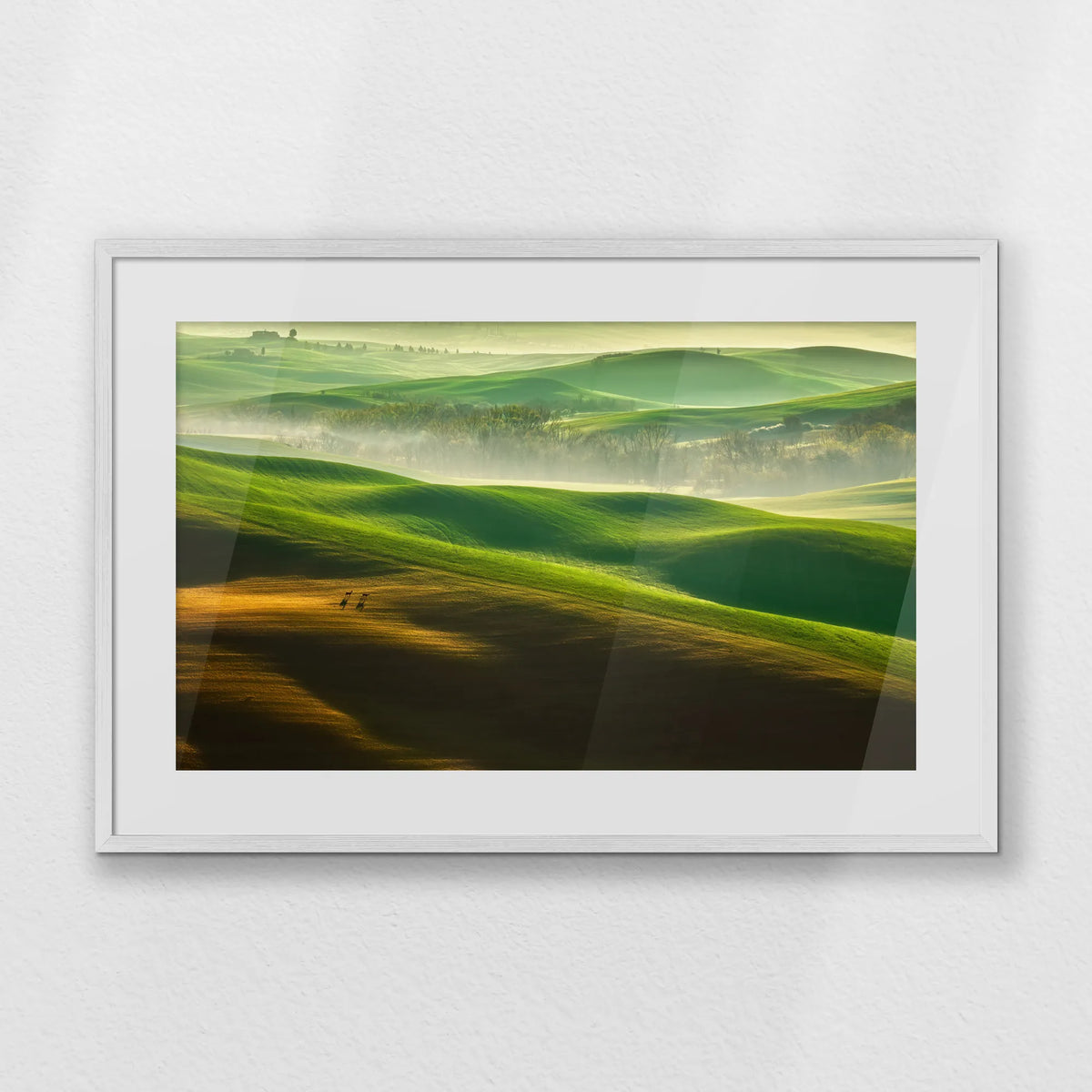 PWP093W062