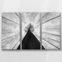 LW-060R040
