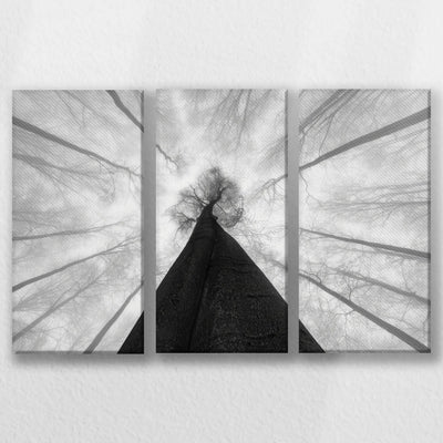 LW-060R040