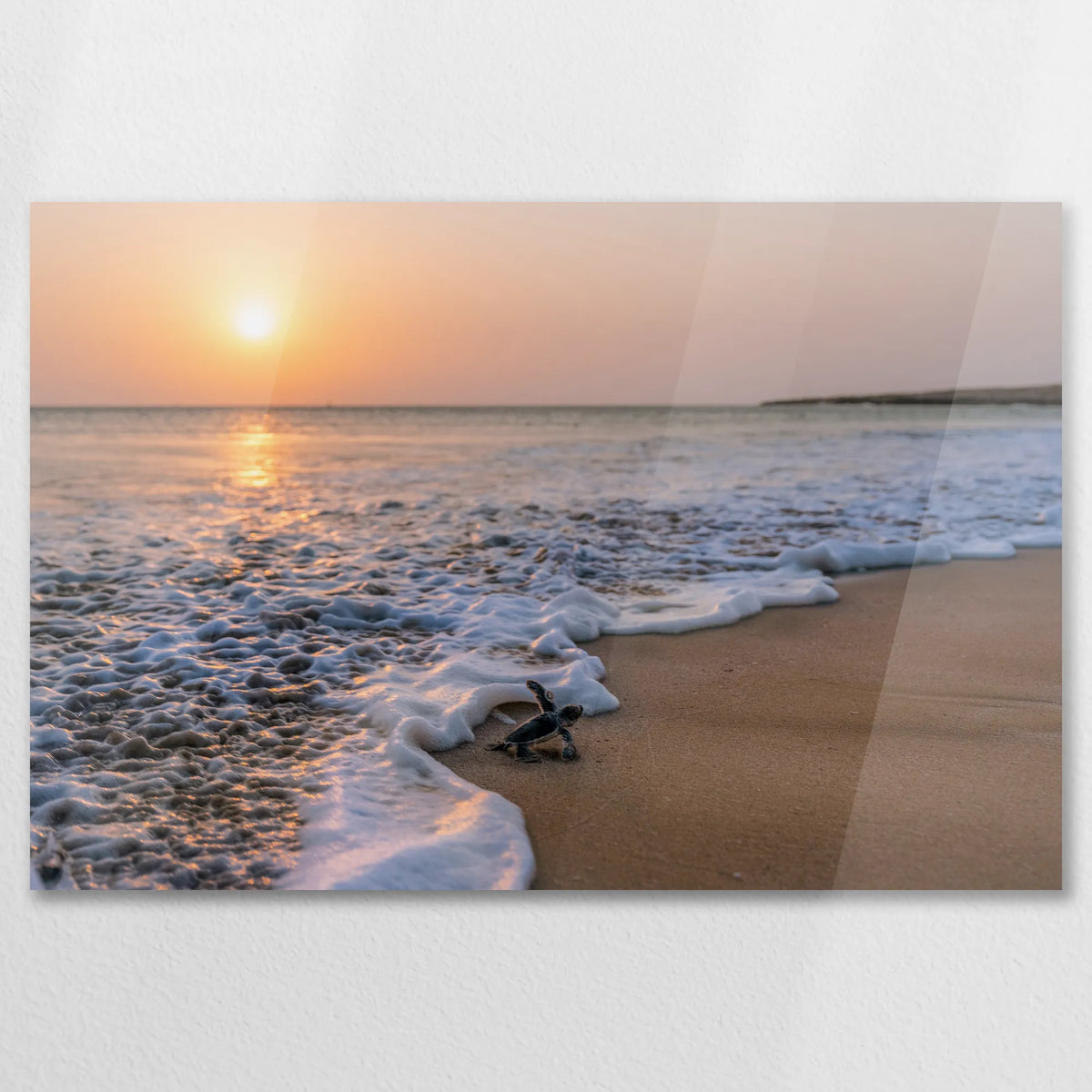 AC-075W050