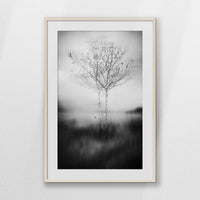 PNP070W100