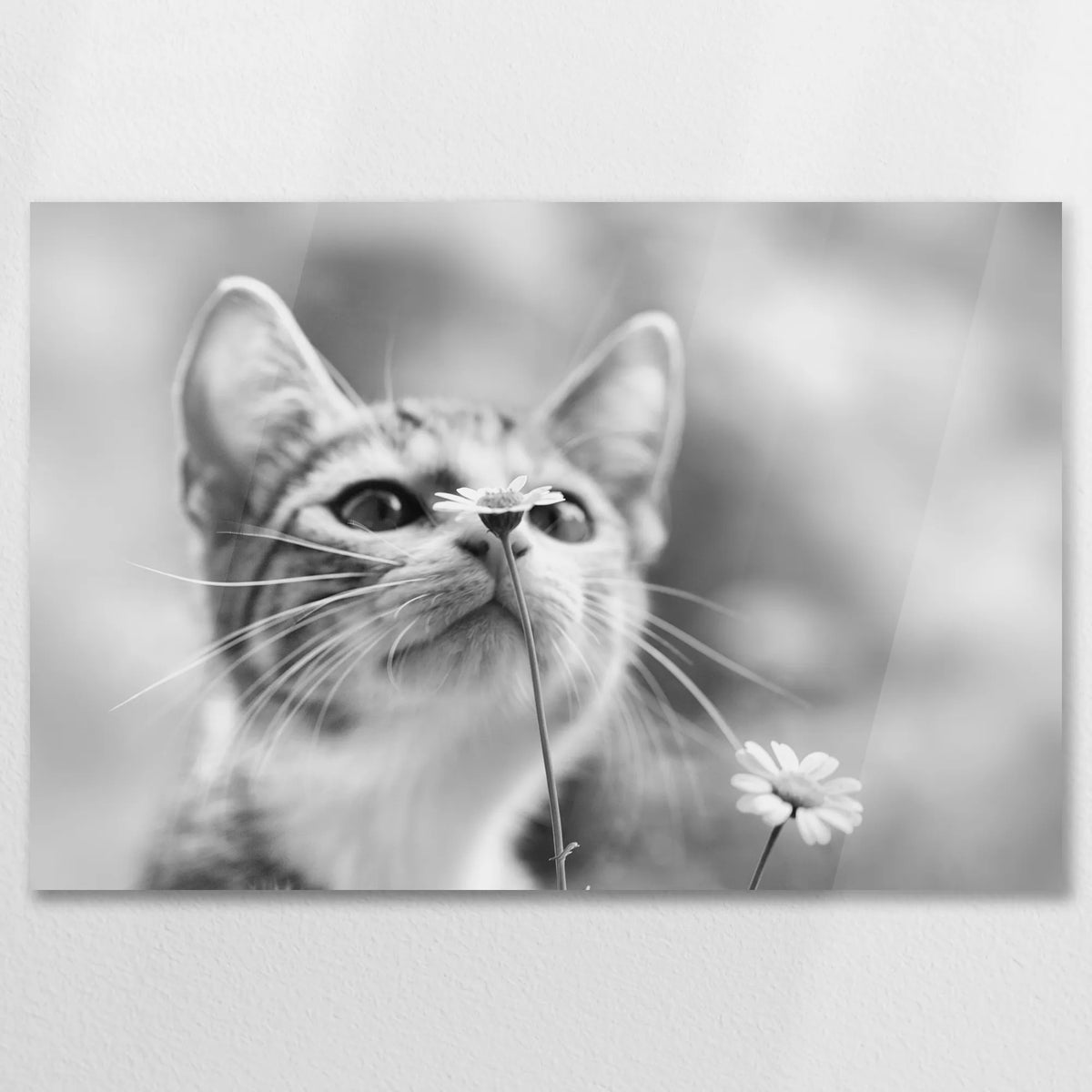 AC-090W060
