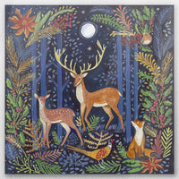 AC-050W050