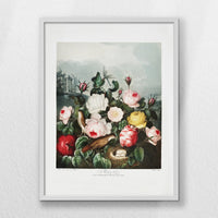 LWW060W080