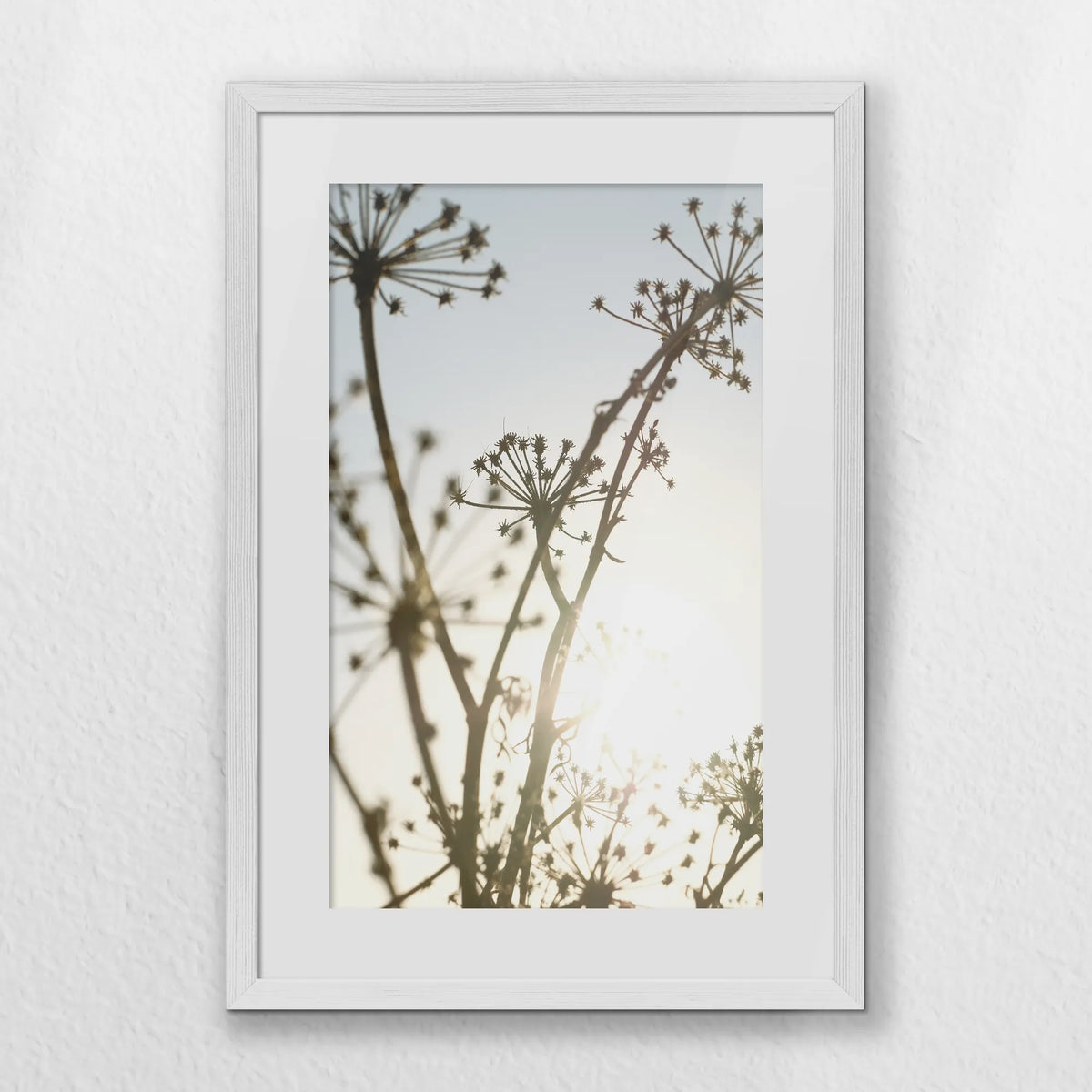 PWP040W060