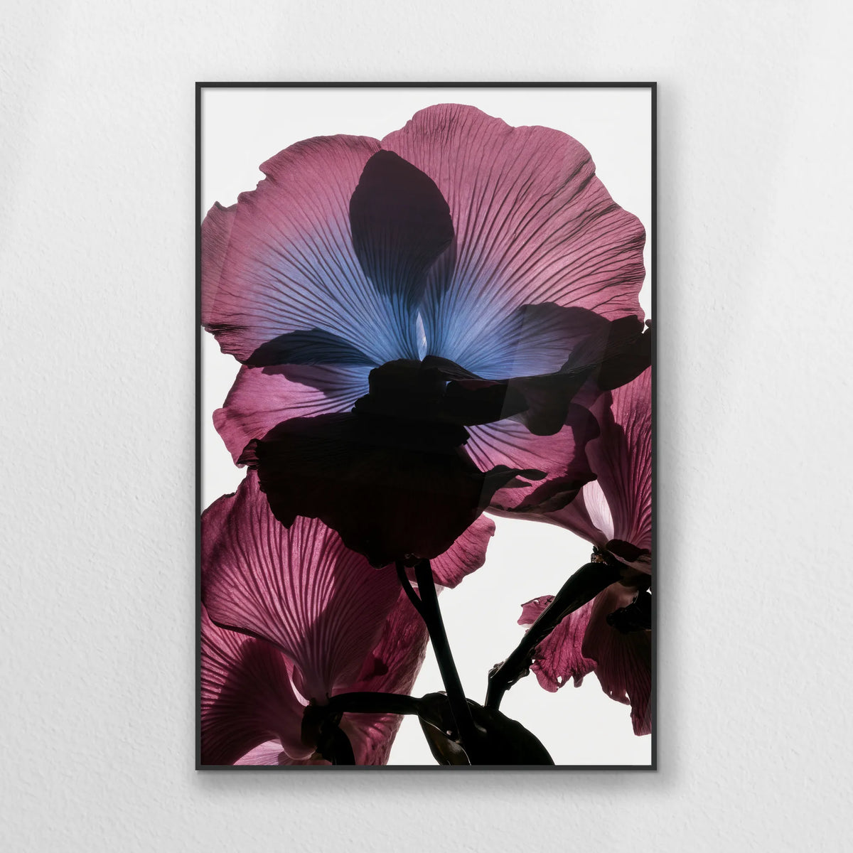PB-070W100