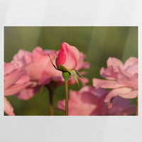 PO-120W080