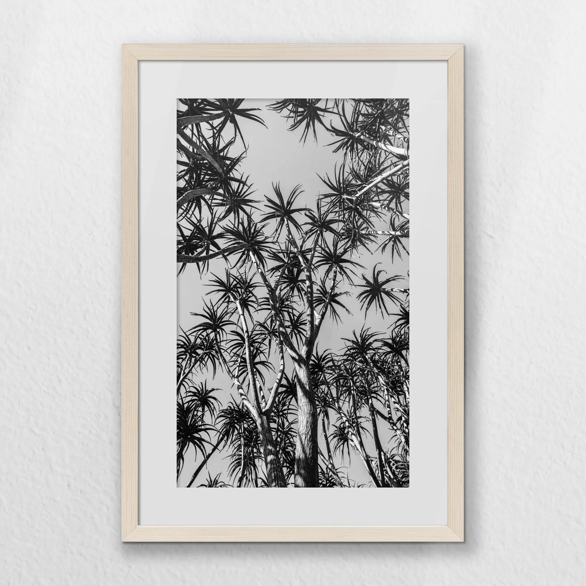 PNP040W060