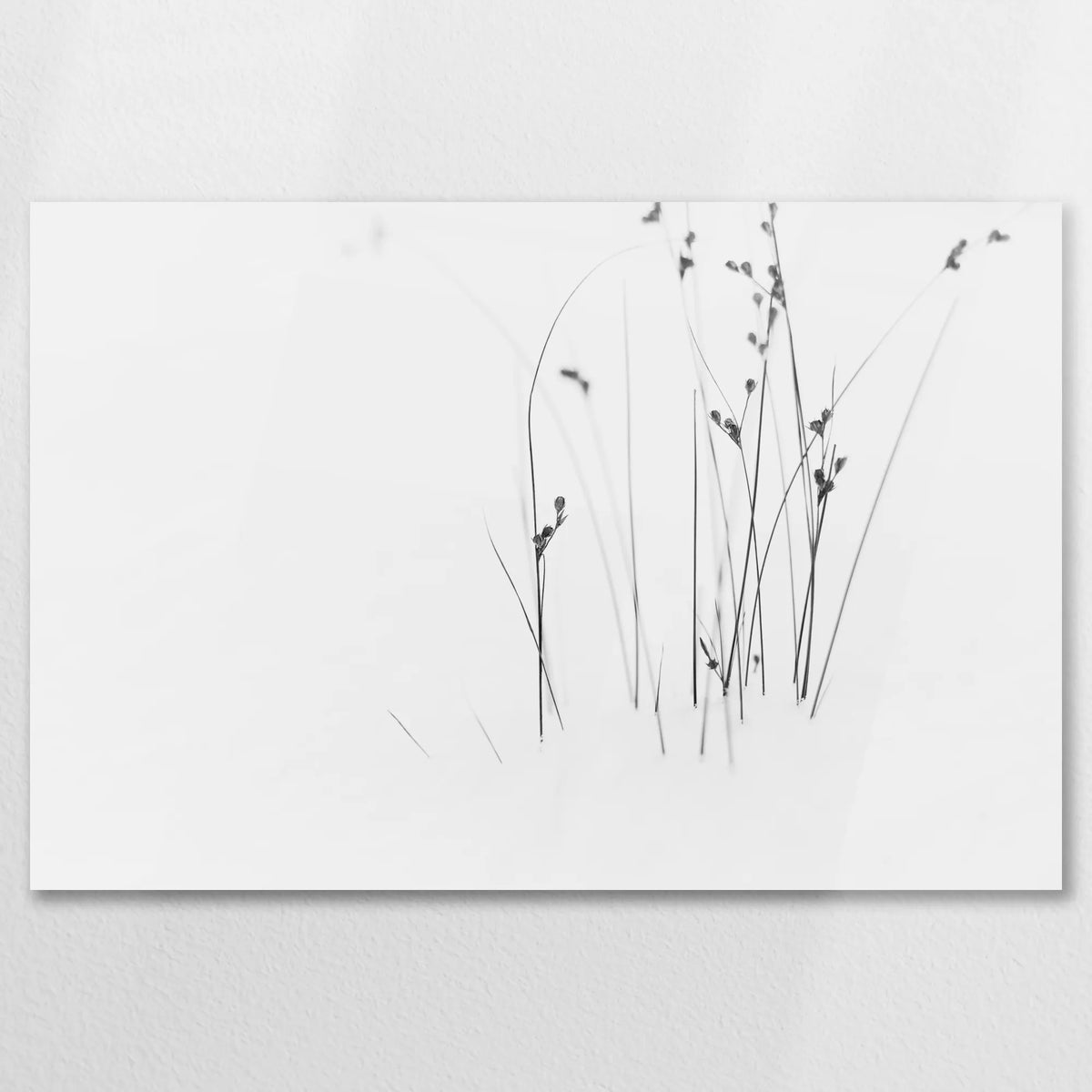 AC-075W050