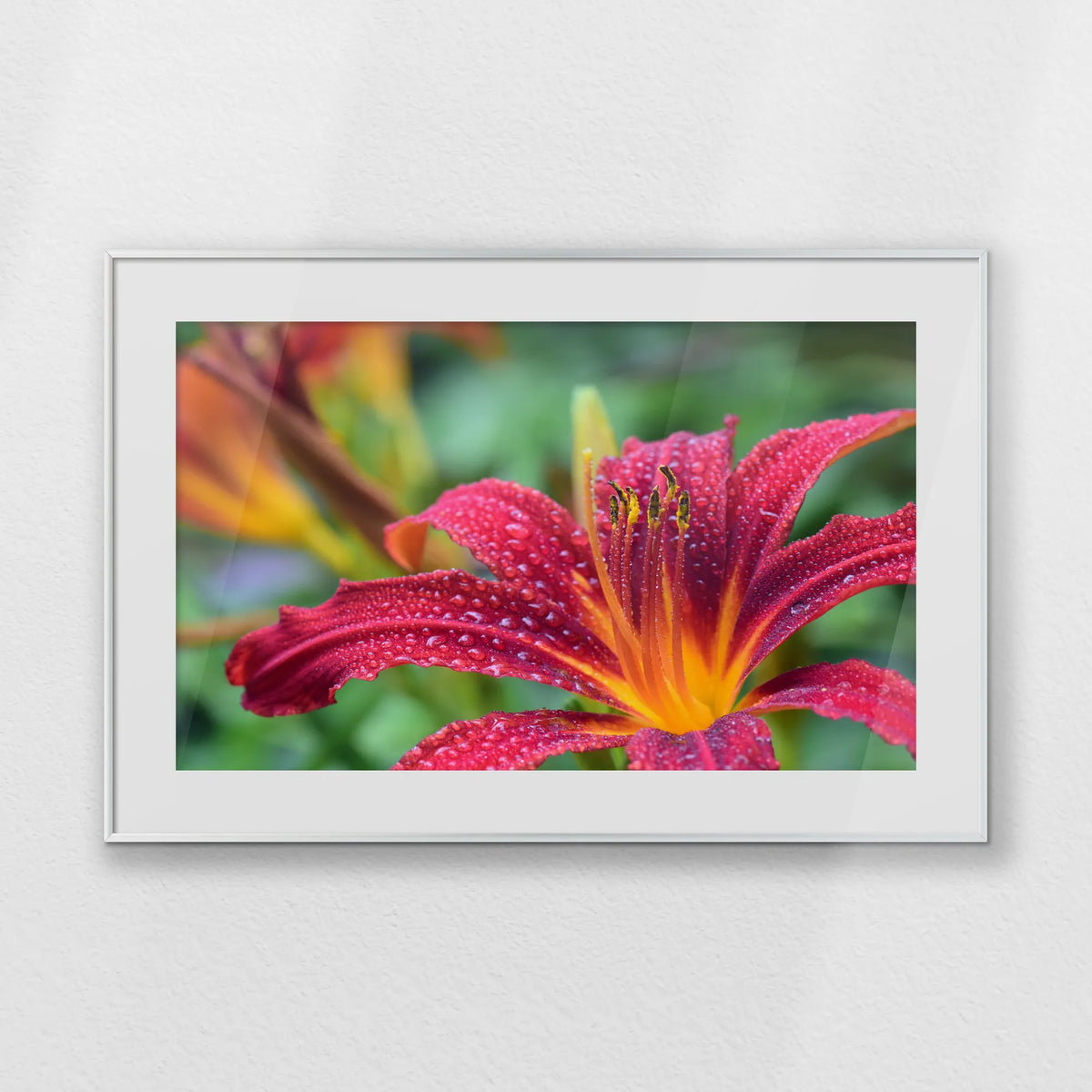 PSP093W062