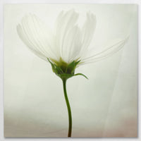 AC-090W090