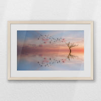 PNP060W040