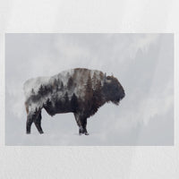 PO-030W020