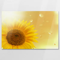 AC-090W060