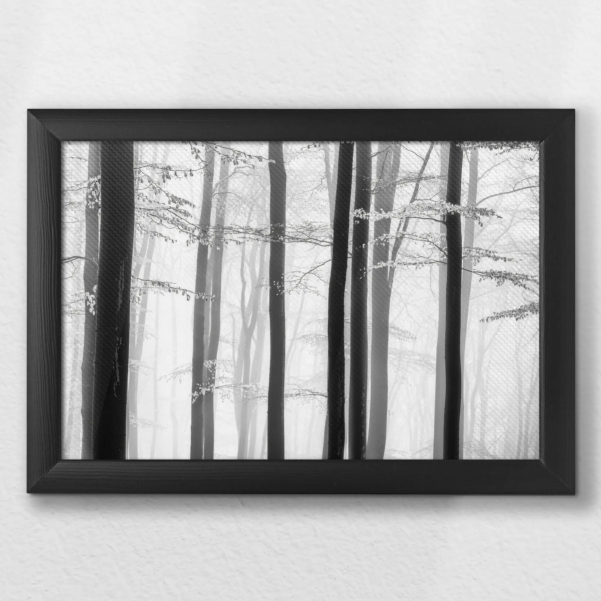 LWB030W020