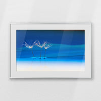 PSP093W062