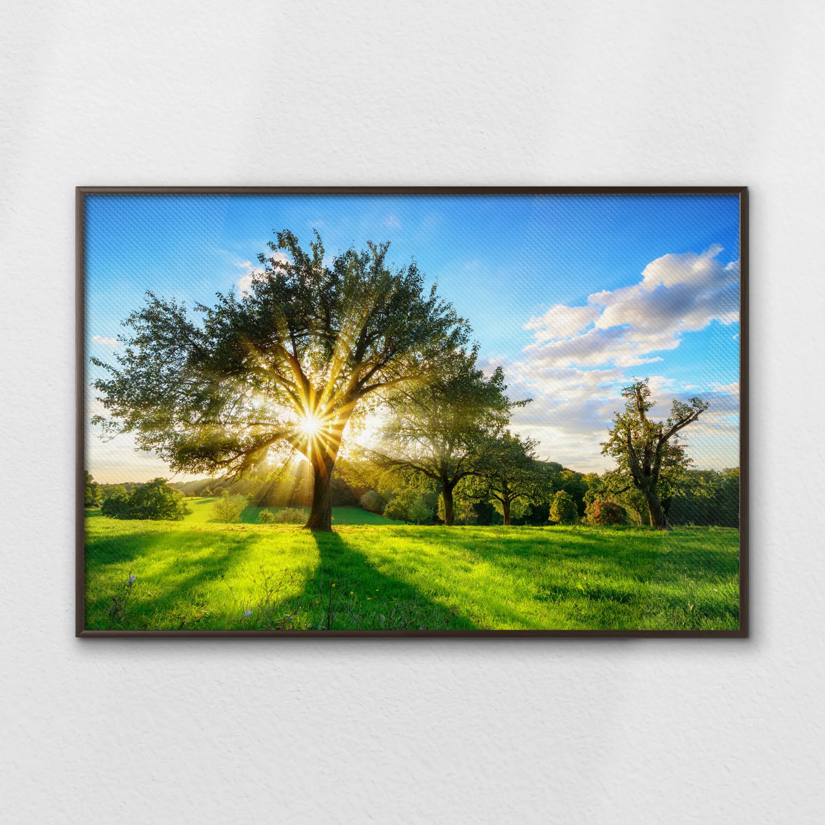 LWN120W080