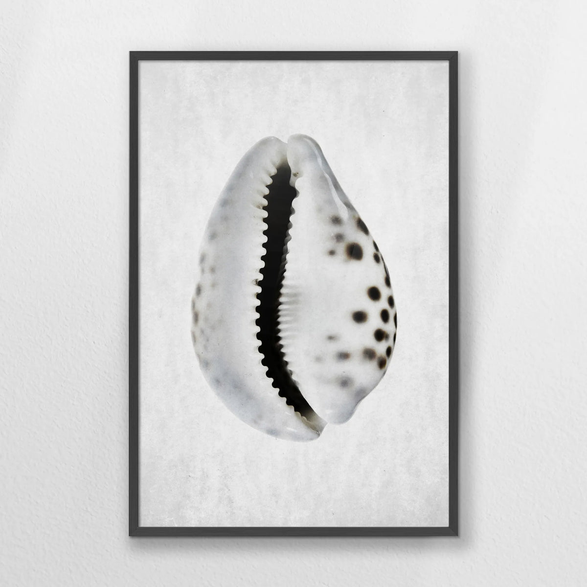 PK-062W093