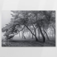 AC-075W050
