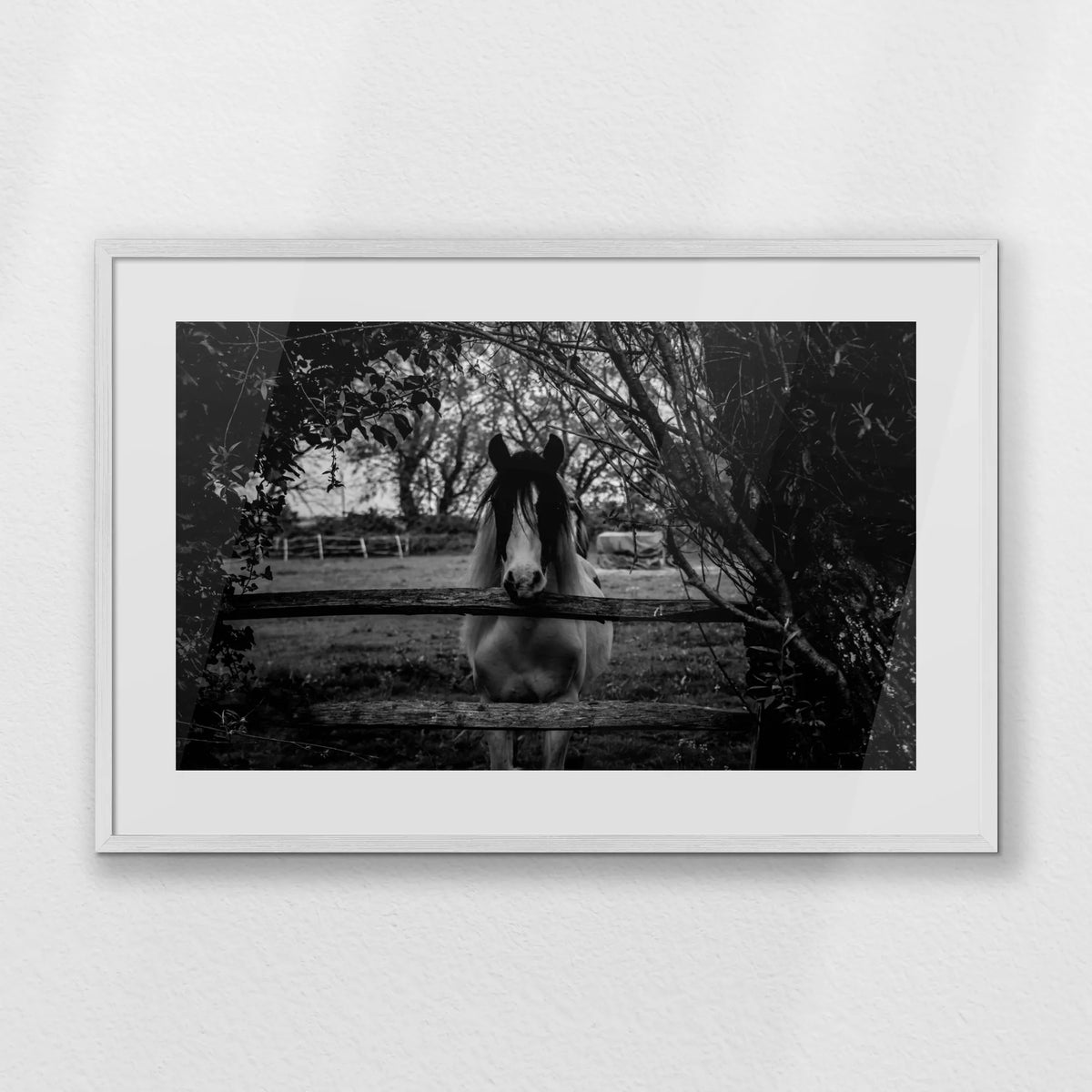 PWP093W062