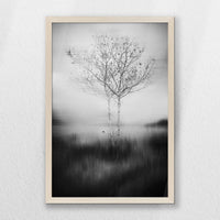 PN-040W060