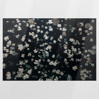 PO-030W020
