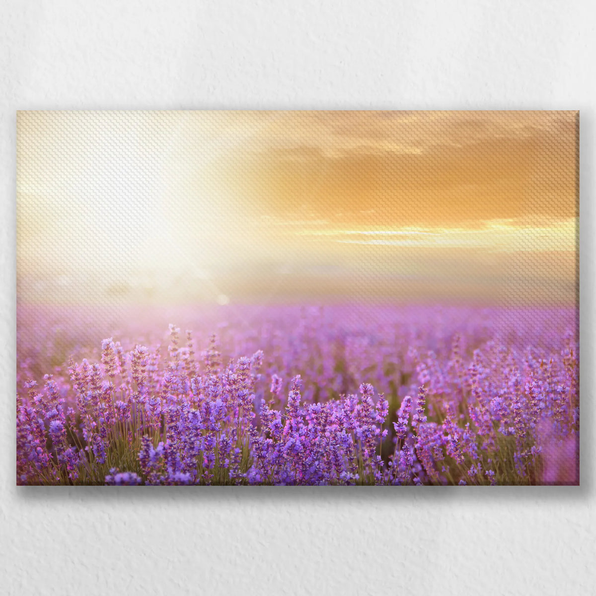 LW-030W020