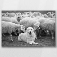 LW-060W040