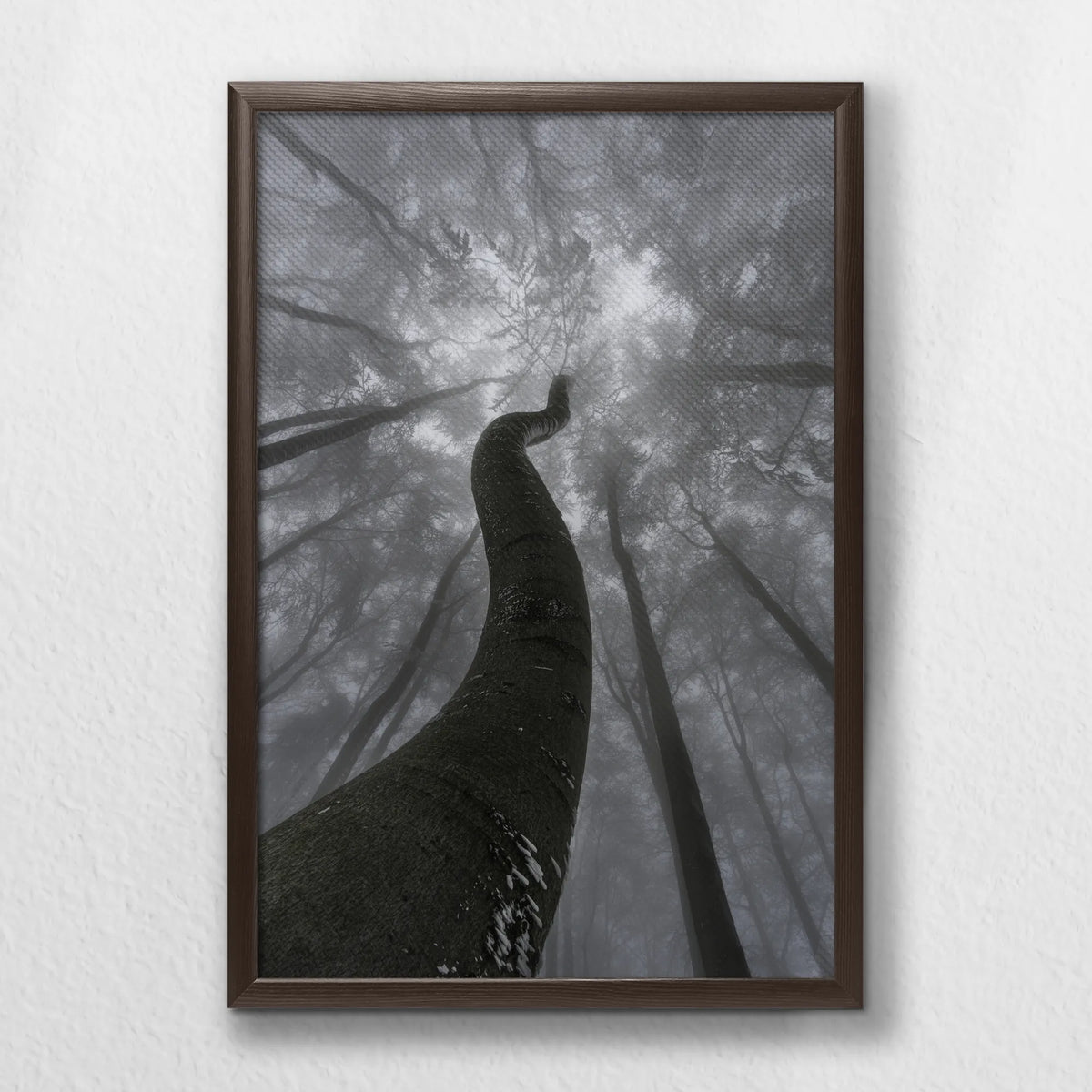 LWN040W060