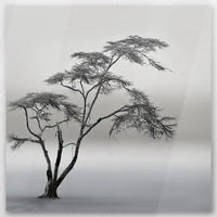 AL-040W040