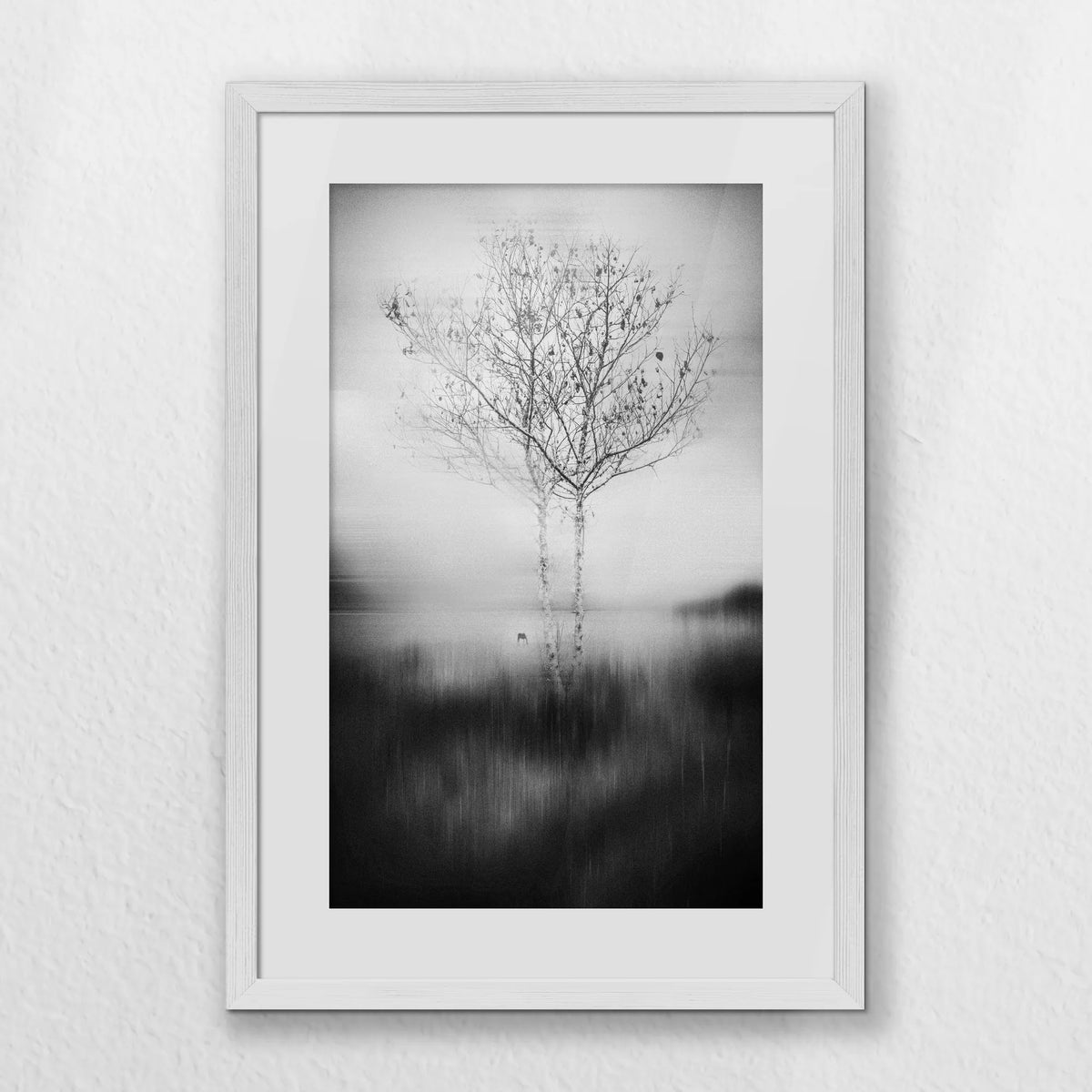 PWP040W060