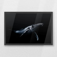 PK-060W040