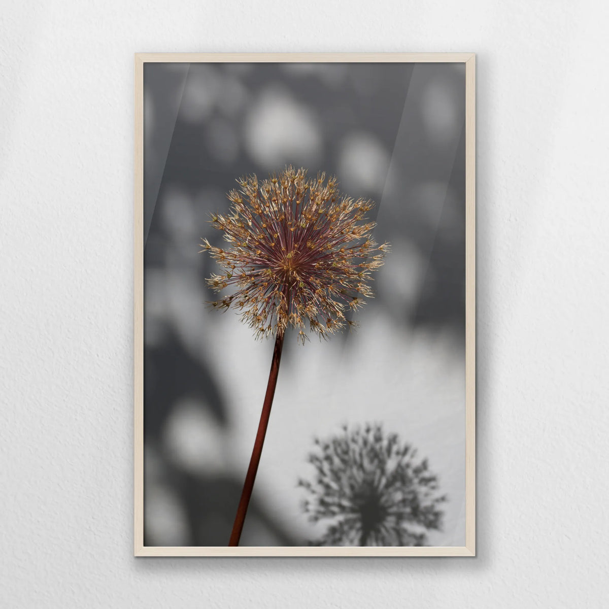 PN-062W093
