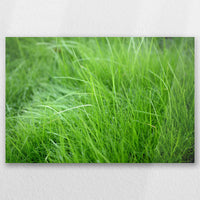 AC-045W030