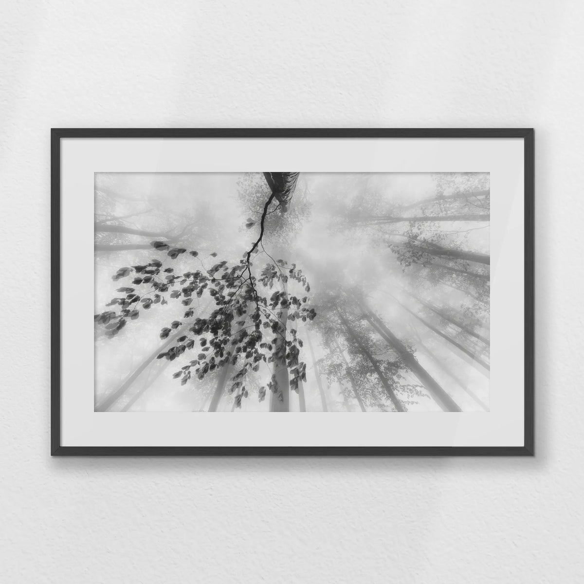 PKP093W062