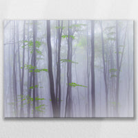 LW-080W060
