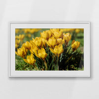 PWP100W070
