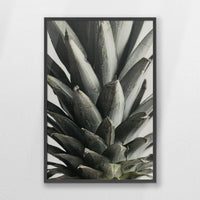 PK-062W093