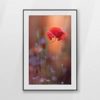 PBP070W100