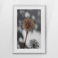 PWP062W093