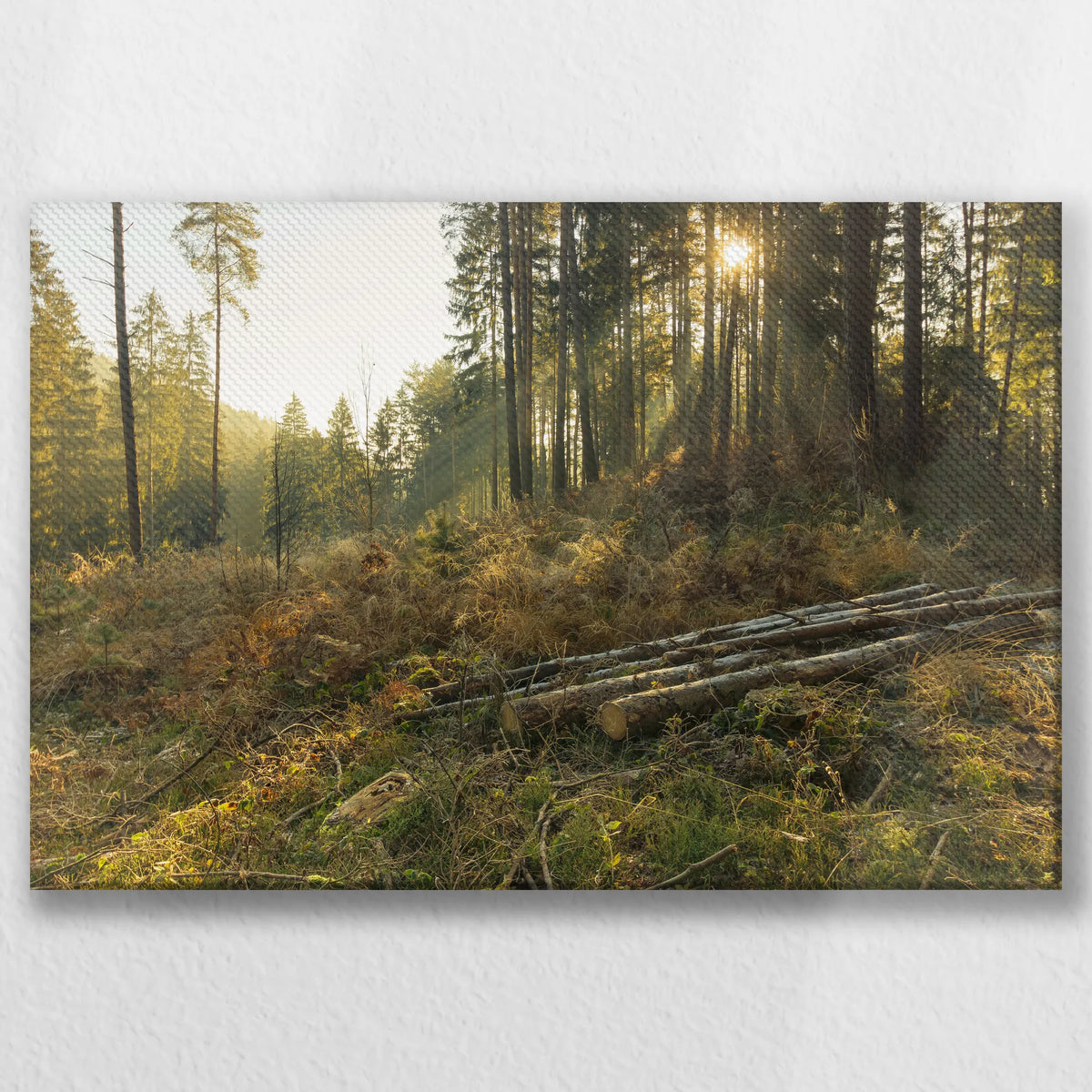 LW-030W020