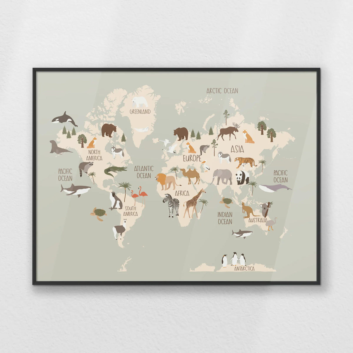 PB-070W050