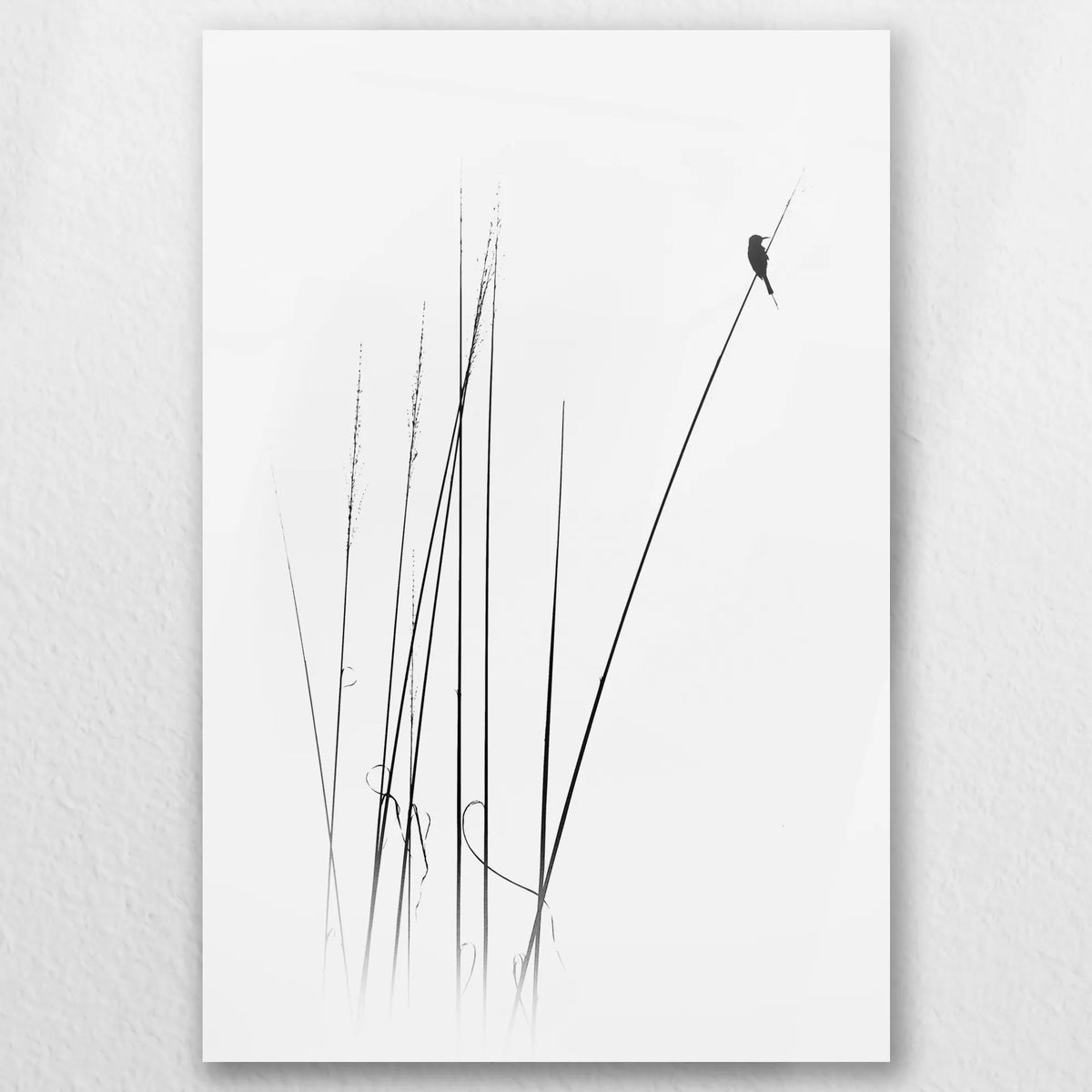 AC-030W045