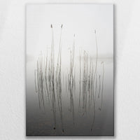 LW-080W120