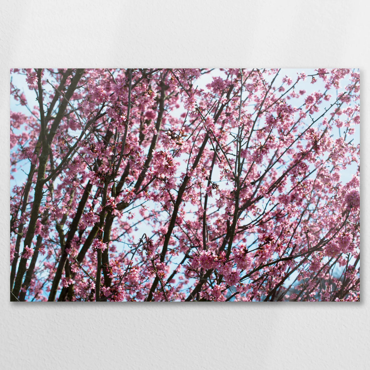 AC-090W060