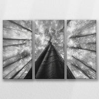 LW-060R040