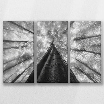 LW-060R040